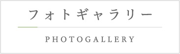 フォトギャラリー